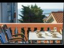 Appartements Tanja - 200m to the beach: A1(2+2), A2(2+2), A3(2+2), A4(2+2), SA5(2) Pakostane - Riviera de Biograd  - Appartement - A1(2+2): terrasse