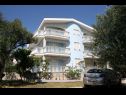 Appartements Vese - 100 m from beach: A1(2+2), A2(2+2), A3(5+3), A4(2+2) Sveti Petar - Riviera de Biograd  - maison