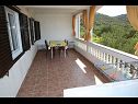 Appartements Ivo - relaxing & comfortable: A1(4+1) Vrgada (Île de Vrgada) - Riviera de Biograd  - Appartement - A1(4+1): terrasse