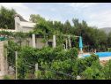 Maisons de vacances Ivo - house with pool: H(4+1) Bol - Île de Brac  - Croatie  - jardin