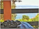 Maisons de vacances Smokovlje - sea view and vineyard H(4) Bol - Île de Brac  - Croatie  - H(4): vue