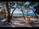 Maisons de vacances Periska - on the beach : H(4+1) Mirca - Île de Brac  - Croatie  - vue (maison et environs)