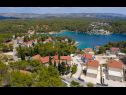 Appartements Dalis - open swimming pool: A1 kat(4+1), A2 prizemlje(4) Baie Osibova (Milna) - Île de Brac  - Croatie  - végétation (maison et environs)