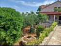 Maisons de vacances Lumos - panoramic view & olive garden: H(10) Postira - Île de Brac  - Croatie  - verdure