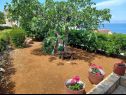 Maisons de vacances Lumos - panoramic view & olive garden: H(10) Postira - Île de Brac  - Croatie  - jardin