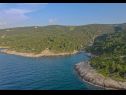 Maisons de vacances Irena - secluded paradise; H(4+1) Baie Prapatna (Pucisca) - Île de Brac  - Croatie  - végétation (maison et environs)