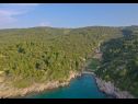 Maisons de vacances Irena - secluded paradise; H(4+1) Baie Prapatna (Pucisca) - Île de Brac  - Croatie  - végétation