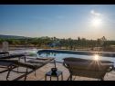 Maisons de vacances Diana - pool and terrace: H(4+1) Pucisca - Île de Brac  - Croatie  - piscine