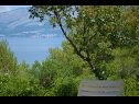 Maisons de vacances Mare- close to the sea H(2) Baie Vela Lozna (Postira) - Île de Brac  - Croatie  - H(2): terrasse