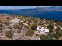 Maisons de vacances Branko - large terrace : H(2) Baie Vela Lozna (Postira) - Île de Brac  - Croatie  - maison