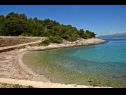 Maisons de vacances Branko - large terrace : H(2) Baie Vela Lozna (Postira) - Île de Brac  - Croatie  - plage