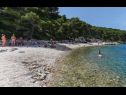 Maisons de vacances Jelka - 50 m from beach: H(10+2) Okrug Donji - Île de Ciovo  - Croatie  - plage