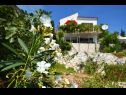 Maisons de vacances Sreća - terrace with beautifull view H(7) Okrug Gornji - Île de Ciovo  - Croatie  - jardin
