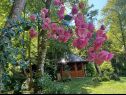 Maisons de vacances Riverside house - beautiful nature: H(6) Zumberak - Croatie continentale - Croatie  - fleurs