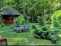 Maisons de vacances Riverside house - beautiful nature: H(6) Zumberak - Croatie continentale - Croatie  - végétation