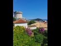 Chambres Garden - with a view: R1(2) Dubrovnik - Riviera de Dubrovnik  - vue (maison et environs)