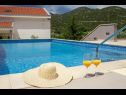 Maisons de vacances Vedran - with beautiful lake view and private pool: H(7) Peracko Blato - Riviera de Dubrovnik  - Croatie  - piscine