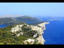 Maisons de vacances Nature park - relaxing and comfortable: H(4) Telascica - Île de Dugi otok  - Croatie  - végétation (maison et environs)