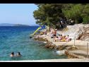 Maisons de vacances Nature park - relaxing and comfortable: H(4) Telascica - Île de Dugi otok  - Croatie  - plage