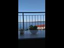 Appartements Jela - terrace and sea view A1(4+2) Zavala - Île de Hvar  - Appartement - A1(4+2): vue