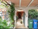 Appartements Mondina - sea view and garden: A1(4), A2(3+1), SA3(2) Banjole - Istrie  - cour