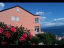 Appartements Jenny - sea view: A1(2+2) Ravni - Istrie  - maison