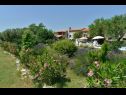 Maisons de vacances Gurianum - with pool: H(8) Vodnjan - Istrie  - Croatie  - plate-bande (maison et environs)