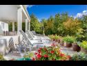 Maisons de vacances Med - beautiful home with private pool: H(6+2) Zminj - Istrie  - Croatie  - maison