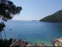 Appartements Mila - 80 m from the beach: A1(6) Brna - Île de Korcula  - plage