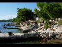 Appartements Mari - amazing sea view: A1(4), A2(4) Baie Karbuni (Blato) - Île de Korcula  - Croatie  - plage