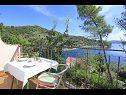 Maisons de vacances Niso - with pool H(12+2) Baie Mikulina luka (Vela Luka) - Île de Korcula  - Croatie  - H(12+2): vue de la terrasse
