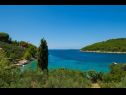 Maisons de vacances Vers - 35m from the sea: H(4+2) Baie Picena (Vela Luka) - Île de Korcula  - Croatie  - vue