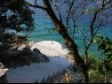 Maisons de vacances Vers - 35m from the sea: H(4+2) Baie Picena (Vela Luka) - Île de Korcula  - Croatie  - plage
