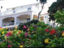 Appartements Dijana - 20m from the sea A1 Antica(4+1), A2 Diana(2+1), A3 Mirela(2+1) Prigradica - Île de Korcula  - maison