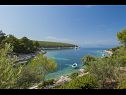 Maisons de vacances Villa Bistrana - 15m from sea: H(4) Baie Tankaraca (Vela Luka) - Île de Korcula  - Croatie  - vue