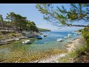 Maisons de vacances Villa Bistrana - 15m from sea: H(4) Baie Tankaraca (Vela Luka) - Île de Korcula  - Croatie  - plage