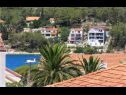 Appartements Niks - terrace & sea view: A1(4), A2(2) Vela Luka - Île de Korcula  - vue (maison et environs)