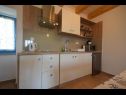 Appartements Insula Insule - rustic & peaceful: SA1(2+1), SA2(2+1) Skrbcici - Île de Krk  - Studio appartement - SA2(2+1): cuisine