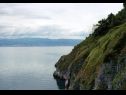 Maisons de vacances Bernardica - on cliffs above sea: H(6+2) Vrbnik - Île de Krk  - Croatie  - végétation
