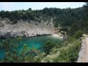 Maisons de vacances Bernardica - on cliffs above sea: H(6+2) Vrbnik - Île de Krk  - Croatie  - végétation