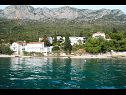 Appartements Bale - right at the beach: A1 Plaza(4) Brist - Riviera de Makarska  - maison