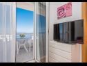 Appartements Ivi - 100 m from pebble beach: A1(2+2), A2(2+2), A3(2+2), A4(4+4), A5(2+2) Drasnice - Riviera de Makarska  - Appartement - A1(2+2): balcon