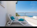 Appartements Ivi - 100 m from pebble beach: A1(2+2), A2(2+2), A3(2+2), A4(4+4), A5(2+2) Drasnice - Riviera de Makarska  - Appartement - A4(4+4): terrasse