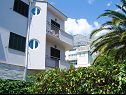 Appartements Cobra - excellent location: A1(2+2), SA2(2+1), A4(4+2) Tucepi - Riviera de Makarska  - maison
