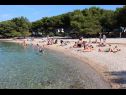 Maisons de vacances Ante - close to the sea: H(8+2) Tisno - Île de Murter  - Croatie  - plage