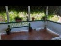Appartements Pavilion - beautiful garden & comfortable: A1(5) Kampor - Île de Rab  - Appartement - A1(5): terrasse