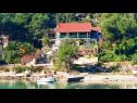 Appartements Primo - sea view: A1(2+1), A2(4), A3(4), A4(3+1) Baie Banje (Rogac) - Île de Solta  - Croatie  - maison