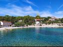 Appartements Primo - sea view: A1(2+1), A2(4), A3(4), A4(3+1) Baie Banje (Rogac) - Île de Solta  - Croatie  - maison