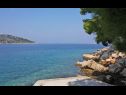 Appartements Primo - sea view: A1(2+1), A2(4), A3(4), A4(3+1) Baie Banje (Rogac) - Île de Solta  - Croatie  - plage