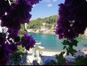 Appartements Primo - sea view: A1(2+1), A2(4), A3(4), A4(3+1) Baie Banje (Rogac) - Île de Solta  - Croatie  - Appartement - A2(4): vue de la terrasse